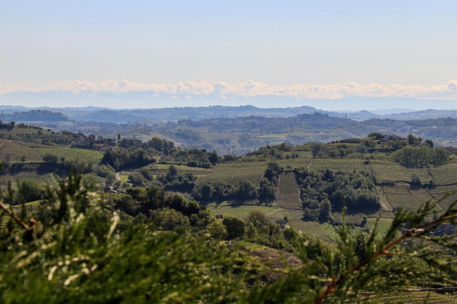 Villa Nonna Cicci Boutique Hotel - SPA Cisterna dʼAsti Esterno foto
